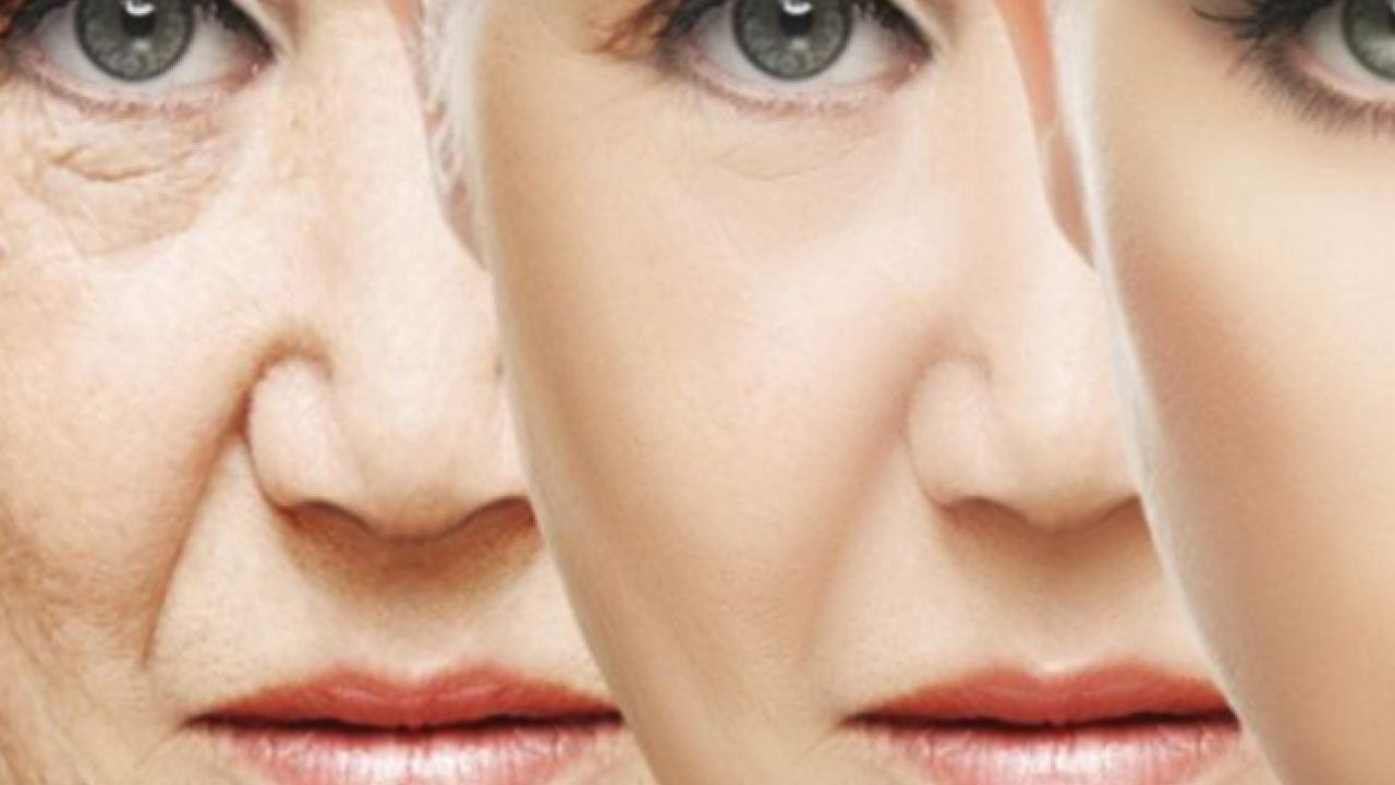 Foto - Putin ve Şi ne demek istedi? Gençlik aşısını buldular mı? Beyinsiz bedenler, domuz ve organları