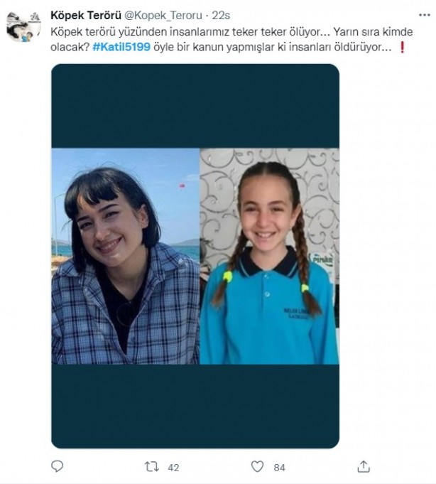 Foto - Rabia Kallı hayatını kaybetti, minik Mahra yoğun bakımda! 'Başıboş köpek terörü'ne tepkiler çığ gibi büyüyor!