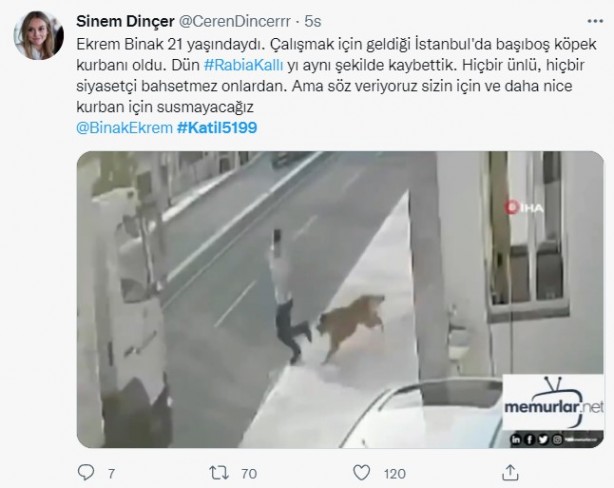 Foto - Rabia Kallı hayatını kaybetti, minik Mahra yoğun bakımda! 'Başıboş köpek terörü'ne tepkiler çığ gibi büyüyor!