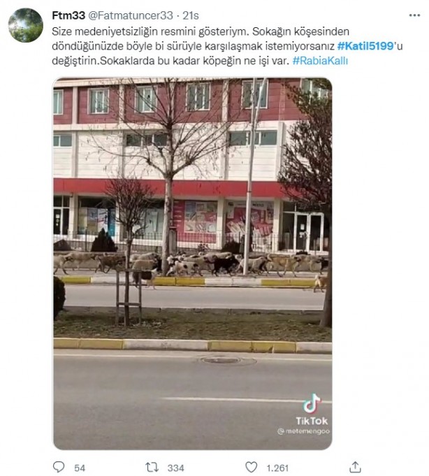Foto - Rabia Kallı hayatını kaybetti, minik Mahra yoğun bakımda! 'Başıboş köpek terörü'ne tepkiler çığ gibi büyüyor!