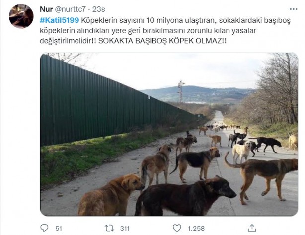 Foto - Rabia Kallı hayatını kaybetti, minik Mahra yoğun bakımda! 'Başıboş köpek terörü'ne tepkiler çığ gibi büyüyor!