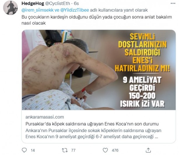 Foto - Rabia Kallı hayatını kaybetti, minik Mahra yoğun bakımda! 'Başıboş köpek terörü'ne tepkiler çığ gibi büyüyor!