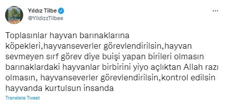 Foto - Rabia Kallı hayatını kaybetti, minik Mahra yoğun bakımda! 'Başıboş köpek terörü'ne tepkiler çığ gibi büyüyor!