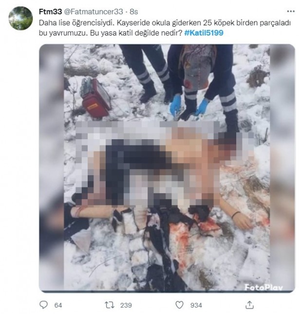 Foto - Rabia Kallı hayatını kaybetti, minik Mahra yoğun bakımda! 'Başıboş köpek terörü'ne tepkiler çığ gibi büyüyor!