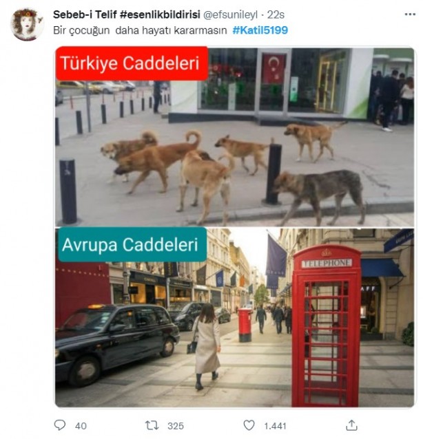 Foto - Rabia Kallı hayatını kaybetti, minik Mahra yoğun bakımda! 'Başıboş köpek terörü'ne tepkiler çığ gibi büyüyor!
