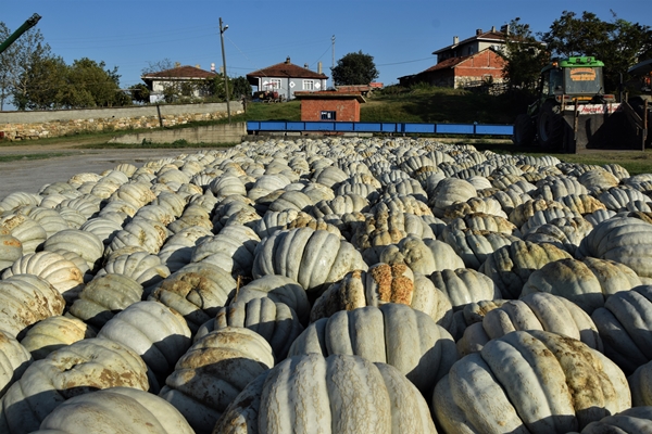 Foto - Raf ömrü 1 seneyi buluyor! Türkiye'nin dört bir tarafına gönderiliyor