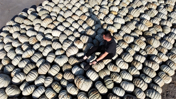 Foto - Raf ömrü 1 seneyi buluyor! Türkiye'nin dört bir tarafına gönderiliyor