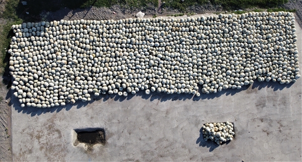 Raf ömrü 1 seneyi buluyor! Türkiye'nin dört bir tarafına gönderiliyor