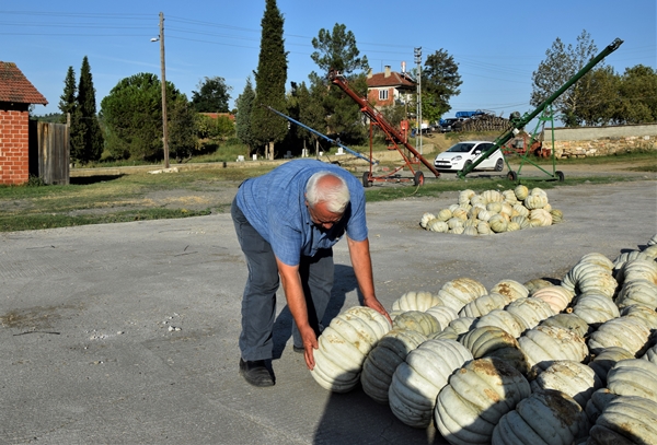 Foto - Raf ömrü 1 seneyi buluyor! Türkiye'nin dört bir tarafına gönderiliyor