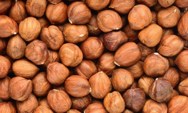 Foto - Ramazan ayında bağışıklığı güçlendirmenin yolları