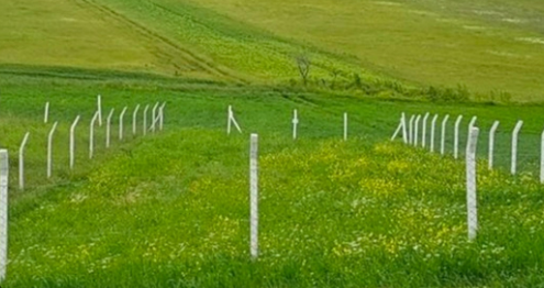 Foto - Ramazan Kurtoğlu 'Tarla alın tarla' diyordu! Vatandaşa talih kuşu kondu, telefon fiyatına arsa satılacak