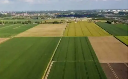 Foto - Ramazan Kurtoğlu 'Tarla alın tarla' diyordu! Vatandaşa talih kuşu kondu, telefon fiyatına arsa satılacak