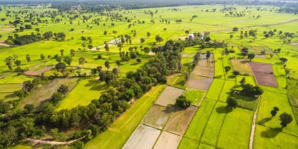 Foto - Ramazan Kurtoğlu 'Tarla alın tarla' diyordu! Vatandaşa talih kuşu kondu, telefon fiyatına arsa satılacak