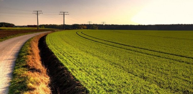 Foto - Ramazan Kurtoğlu 'Tarla alın tarla' diyordu! Vatandaşa talih kuşu kondu, telefon fiyatına arsa satılacak