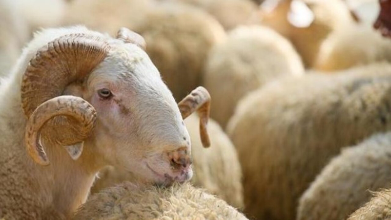 Foto - Ramazan ne zaman başlıyor? İşte ilk oruç ve sahur tarihi