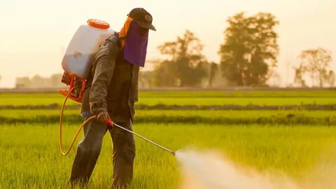 Foto - Raporda neler var neler! En kirli ve temiz gıdalar açıklandı