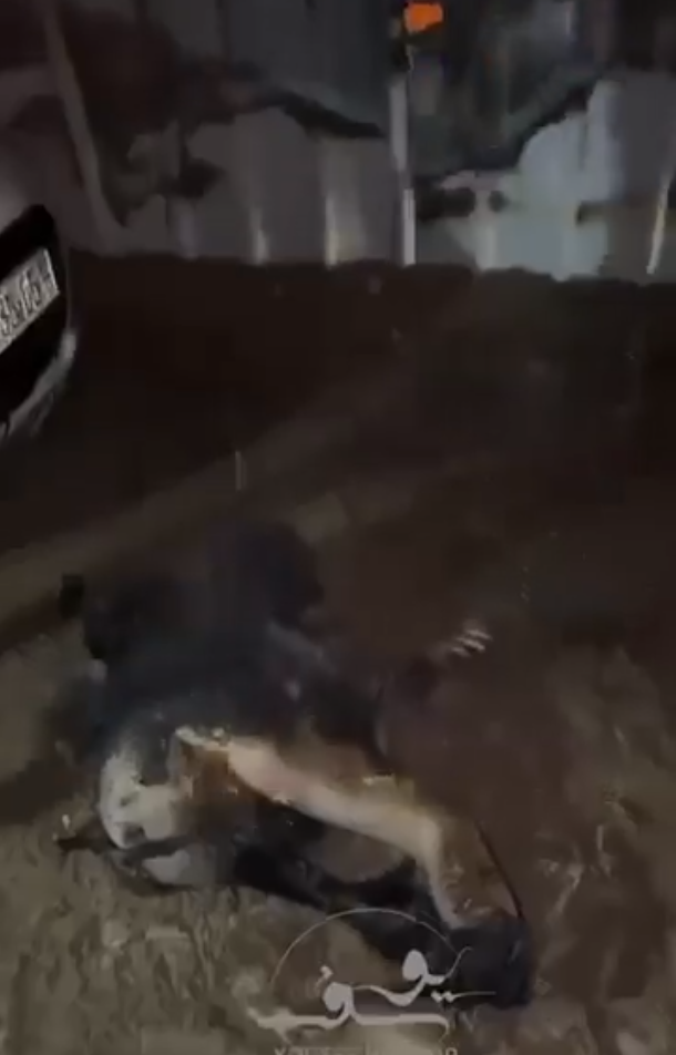 Foto - Refah’taki katliamın istihbaratını Müslüman ülke vermiş… Bu ayıp kıyamete kadar yeter!..