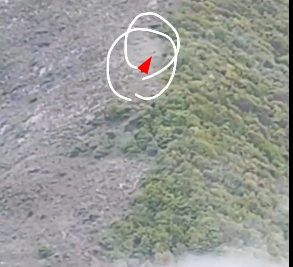 Foto - Reisi'nin enkazının yakınlarında drone görüntülerine takılan o kişi kim? Koşmaya başladı, dünya şokta