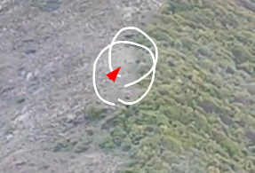 Foto - Reisi'nin enkazının yakınlarında drone görüntülerine takılan o kişi kim? Koşmaya başladı, dünya şokta