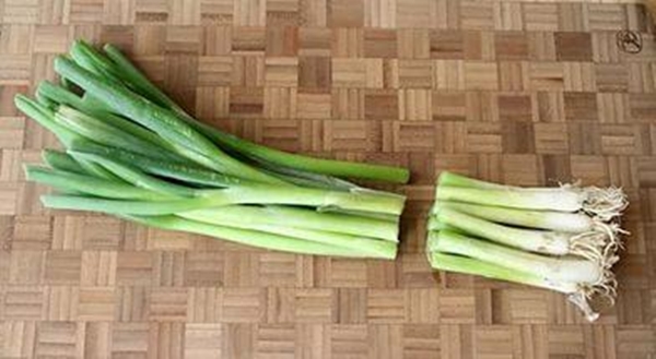 Foto - Rejim yapanlar taze soğandan uzak dursun!