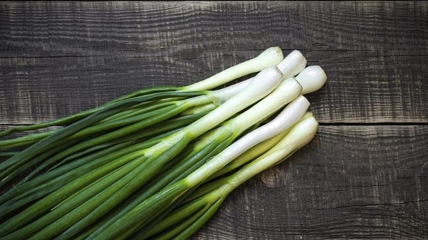 Foto - Rejim yapanlar taze soğandan uzak dursun!