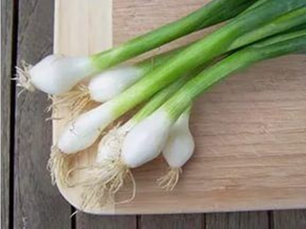 Foto - Rejim yapanlar taze soğandan uzak dursun!