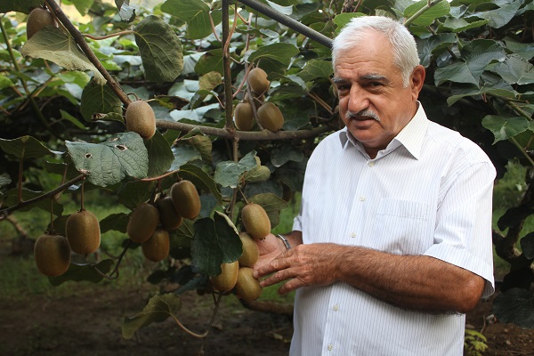 Foto - Rekolte düştü! Fiyatlar artacak