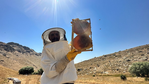 Foto - Rekolte üç yılda yüzde 100 düştü