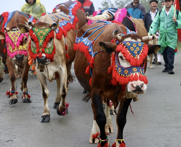 Foto - Rengarenk dönüş yolculuğu başladı