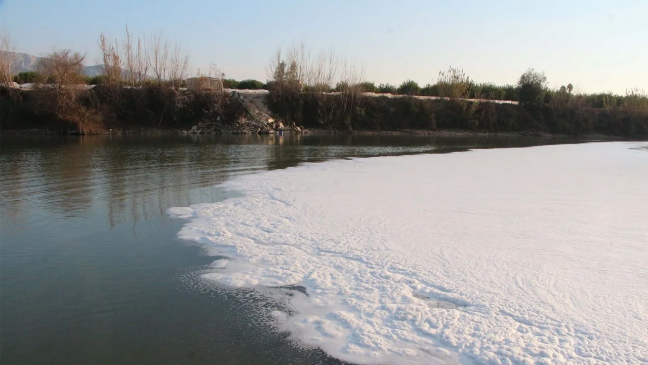 Foto - Rengi siyaha döndü ve bir anda köpürdü! O nehirde balıklar ölüyor