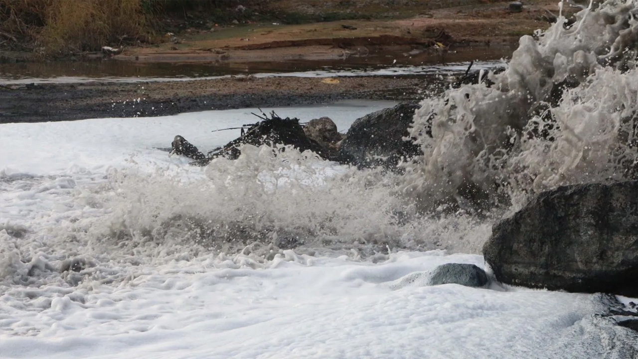 Foto - Rengi siyaha döndü ve bir anda köpürdü! O nehirde balıklar ölüyor
