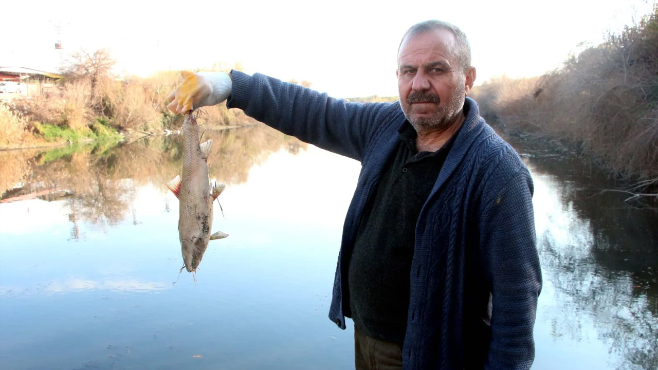 Foto - Rengi siyaha döndü ve bir anda köpürdü! O nehirde balıklar ölüyor