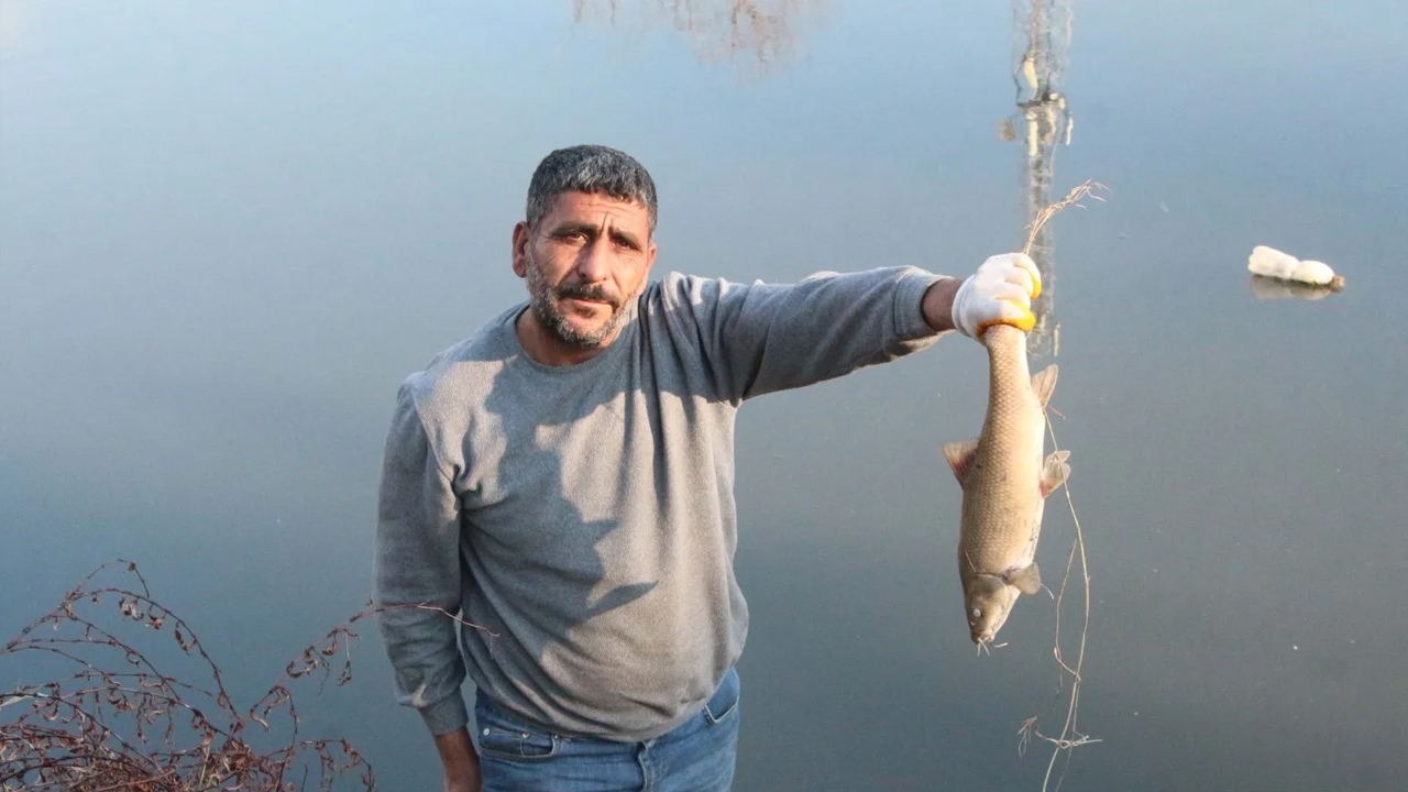 Foto - Rengi siyaha döndü ve bir anda köpürdü! O nehirde balıklar ölüyor