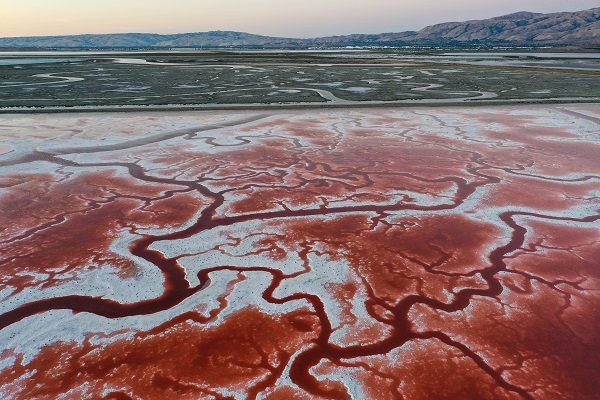 Foto - Rengiyle dikkat çekiyor! Havadan görüntülendi