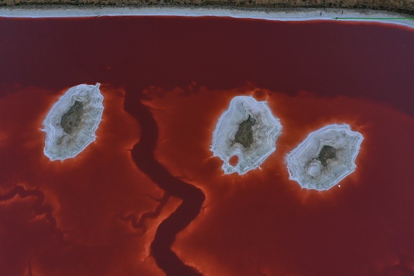 Foto - Rengiyle dikkat çekiyor! Havadan görüntülendi