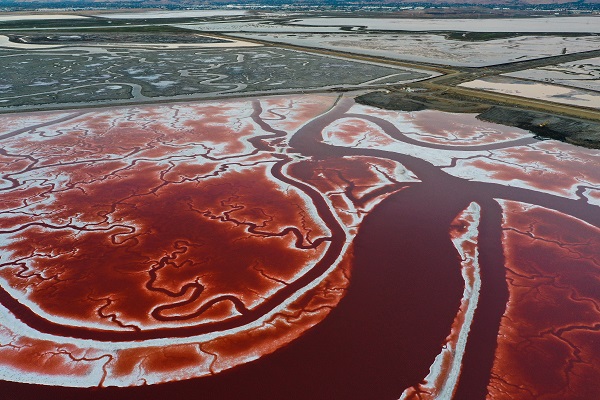 Foto - Rengiyle dikkat çekiyor! Havadan görüntülendi