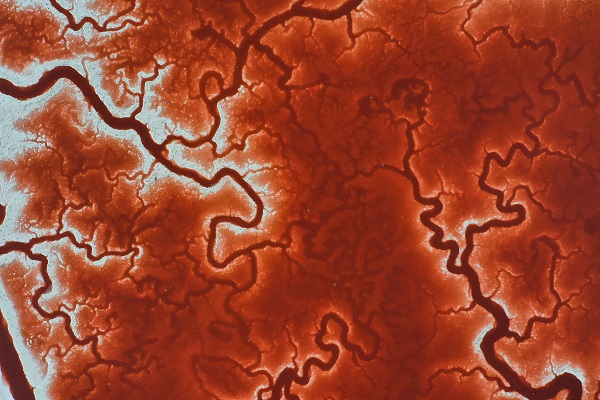 Foto - Rengiyle dikkat çekiyor! Havadan görüntülendi