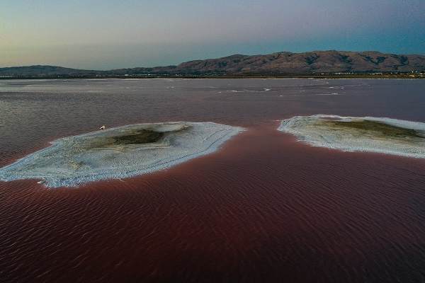 Foto - Rengiyle dikkat çekiyor! Havadan görüntülendi