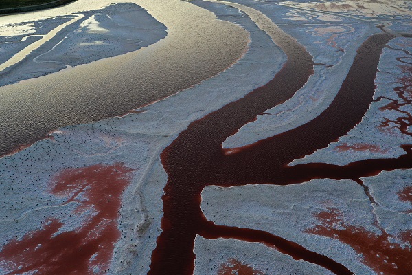 Foto - Rengiyle dikkat çekiyor! Havadan görüntülendi