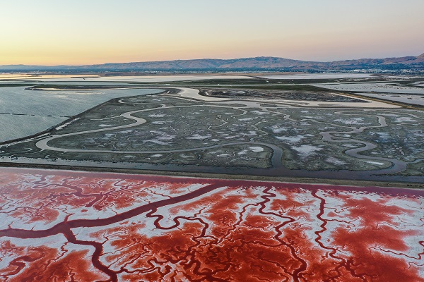 Foto - Rengiyle dikkat çekiyor! Havadan görüntülendi
