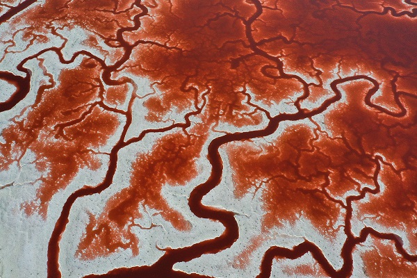 Foto - Rengiyle dikkat çekiyor! Havadan görüntülendi