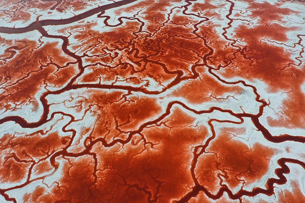 Foto - Rengiyle dikkat çekiyor! Havadan görüntülendi