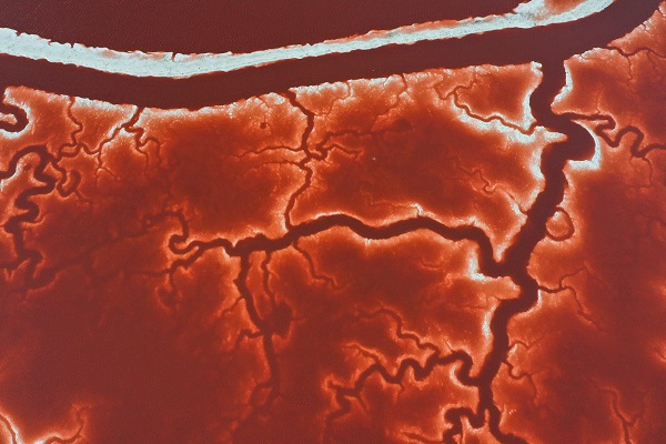 Foto - Rengiyle dikkat çekiyor! Havadan görüntülendi