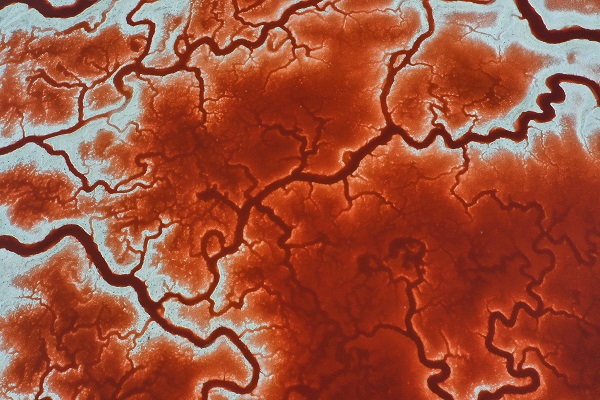 Foto - Rengiyle dikkat çekiyor! Havadan görüntülendi