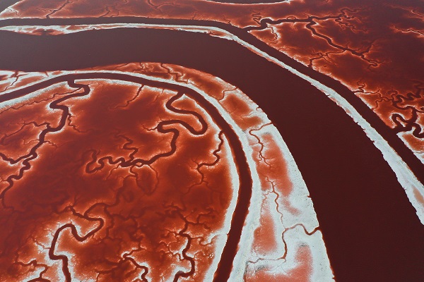 Foto - Rengiyle dikkat çekiyor! Havadan görüntülendi