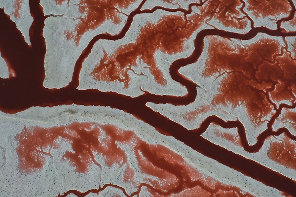 Foto - Rengiyle dikkat çekiyor! Havadan görüntülendi