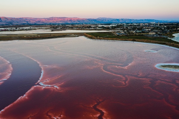 Foto - Rengiyle dikkat çekiyor! Havadan görüntülendi