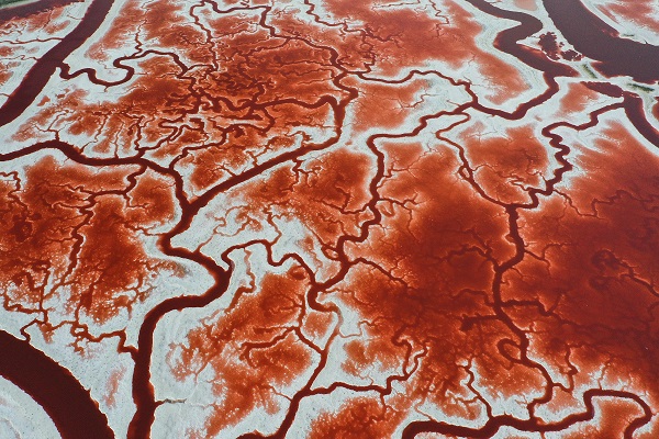 Foto - Rengiyle dikkat çekiyor! Havadan görüntülendi