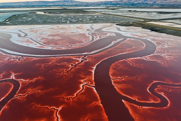 Foto - Rengiyle dikkat çekiyor! Havadan görüntülendi