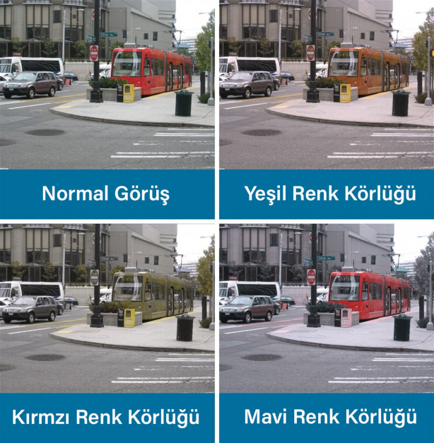 Foto - Renk körlüğü olanlar nasıl görüyor?